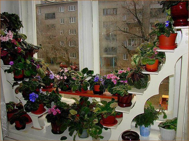 (цветы для дизайна помещения, цветы в дизайне помещений, цвет в дизайне помещений) 10 идей использования цветов в интерьерах: дизайнерские приемы и тренды