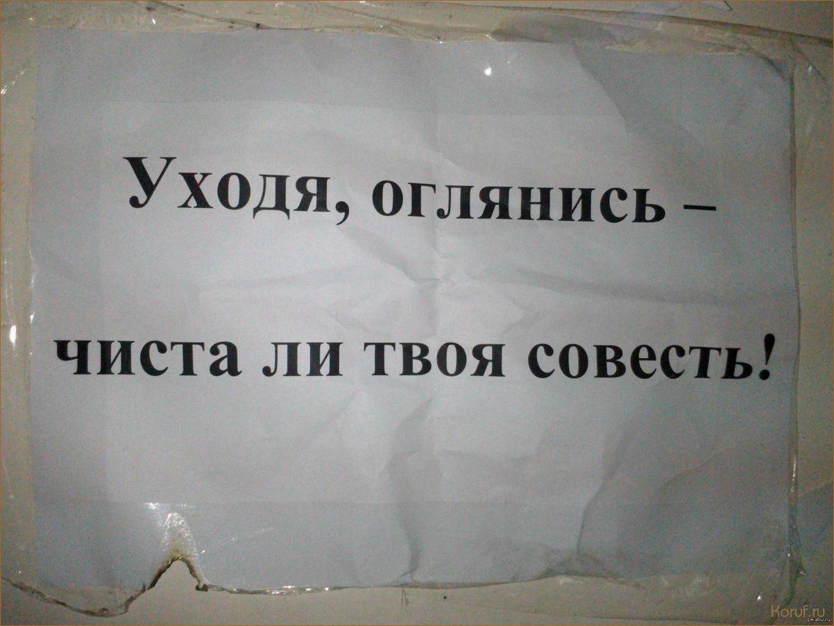 (креативный дизайн туалета, яркий дизайн туалета, креативный дизайн туалетов) Уникальные и креативные дизайны туалетов: вдохновляющие идеи для вашего интерьера