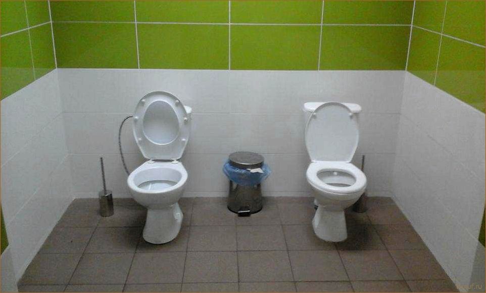 (прикольные дизайны туалета, прикольные дизайны туалетов, прикольный дизайн туалет) 10 креативных и прикольных дизайнов туалетов, которые оставят вас в восторге!
