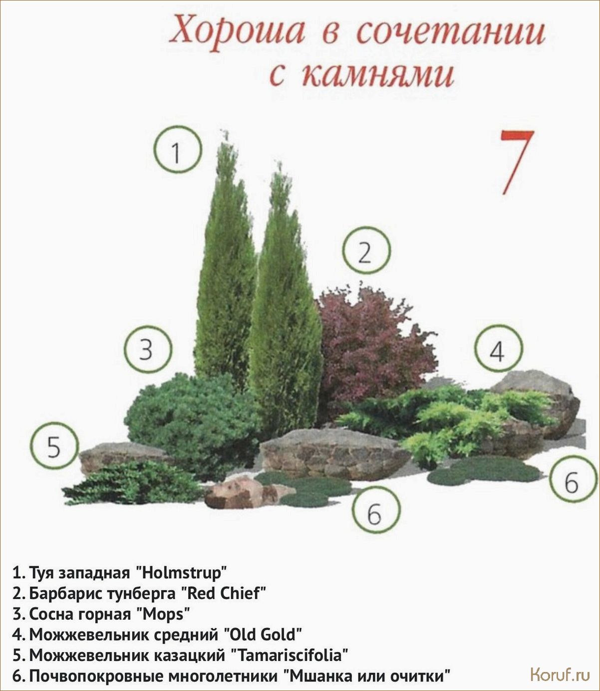 Приветливые пространства: как создать стильный дизайн для кафе