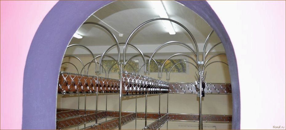 (дизайн гардеробное комнаты, дизайна гардеробной комнаты, дизайн гардеробных комнат) Максимизируйте ваше пространство с дизайнами гардеробных комнат для квартир в хрущевке