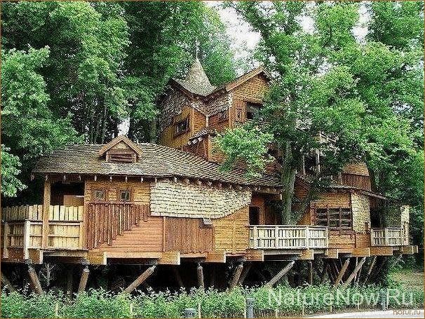 Откройте для себя удивительный мир нестандартных дизайнов кухонь: идеи и вдохновение!